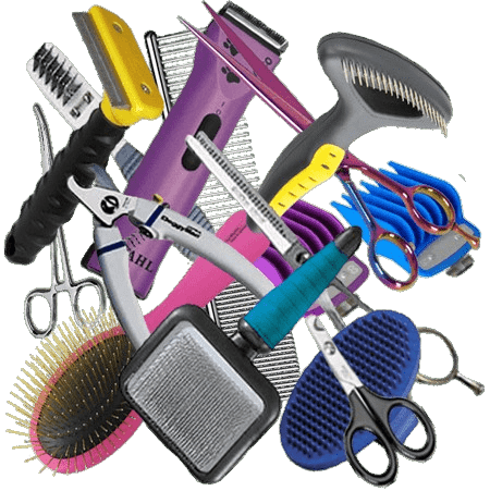 Welcome to Pets World Patna, your go-to destination for comprehensive pet care services and quality pet products. We offer a range of services, including pet care, grooming, and a variety of accessories. Explore our extensive collection of dog, cat, and rabbit breeds, along with a wide selection of pet accessories, food, treats, and healthcare products. Visit us at Rajendra Nagar Road, Kankarbagh, Patna - 800020, near Malahi Pakri Chowk. For inquiries, call us at +91 99347 41143. Your furry friend's well-being is our priority!