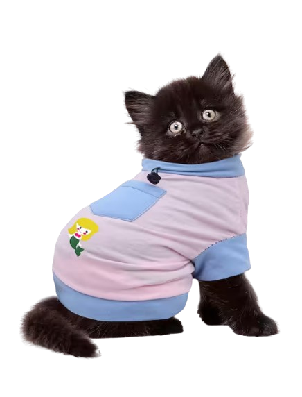 Welcome to Pets World Patna, your go-to destination for comprehensive pet care services and quality pet products. We offer a range of services, including pet care, grooming, and a variety of accessories. Explore our extensive collection of dog, cat, and rabbit breeds, along with a wide selection of pet accessories, food, treats, and healthcare products. Visit us at Rajendra Nagar Road, Kankarbagh, Patna - 800020, near Malahi Pakri Chowk. For inquiries, call us at +91 99347 41143. Your furry friend's well-being is our priority!