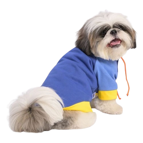 Welcome to Pets World Patna, your go-to destination for comprehensive pet care services and quality pet products. We offer a range of services, including pet care, grooming, and a variety of accessories. Explore our extensive collection of dog, cat, and rabbit breeds, along with a wide selection of pet accessories, food, treats, and healthcare products. Visit us at Rajendra Nagar Road, Kankarbagh, Patna - 800020, near Malahi Pakri Chowk. For inquiries, call us at +91 99347 41143. Your furry friend's well-being is our priority!