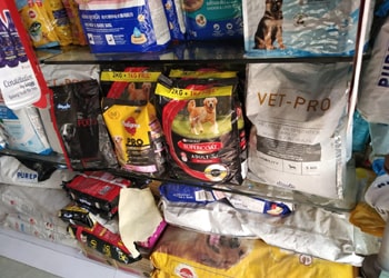 Welcome to Pets World Patna, your go-to destination for comprehensive pet care services and quality pet products. We offer a range of services, including pet care, grooming, and a variety of accessories. Explore our extensive collection of dog, cat, and rabbit breeds, along with a wide selection of pet accessories, food, treats, and healthcare products. Visit us at Rajendra Nagar Road, Kankarbagh, Patna - 800020, near Malahi Pakri Chowk. For inquiries, call us at +91 99347 41143. Your furry friend's well-being is our priority!