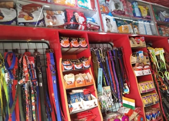 Welcome to Pets World Patna, your go-to destination for comprehensive pet care services and quality pet products. We offer a range of services, including pet care, grooming, and a variety of accessories. Explore our extensive collection of dog, cat, and rabbit breeds, along with a wide selection of pet accessories, food, treats, and healthcare products. Visit us at Rajendra Nagar Road, Kankarbagh, Patna - 800020, near Malahi Pakri Chowk. For inquiries, call us at +91 99347 41143. Your furry friend's well-being is our priority!