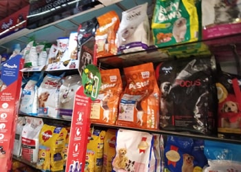 Welcome to Pets World Patna, your go-to destination for comprehensive pet care services and quality pet products. We offer a range of services, including pet care, grooming, and a variety of accessories. Explore our extensive collection of dog, cat, and rabbit breeds, along with a wide selection of pet accessories, food, treats, and healthcare products. Visit us at Rajendra Nagar Road, Kankarbagh, Patna - 800020, near Malahi Pakri Chowk. For inquiries, call us at +91 99347 41143. Your furry friend's well-being is our priority!