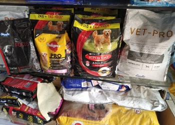 Welcome to Pets World Patna, your go-to destination for comprehensive pet care services and quality pet products. We offer a range of services, including pet care, grooming, and a variety of accessories. Explore our extensive collection of dog, cat, and rabbit breeds, along with a wide selection of pet accessories, food, treats, and healthcare products. Visit us at Rajendra Nagar Road, Kankarbagh, Patna - 800020, near Malahi Pakri Chowk. For inquiries, call us at +91 99347 41143. Your furry friend's well-being is our priority!