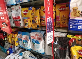 Welcome to Pets World Patna, your go-to destination for comprehensive pet care services and quality pet products. We offer a range of services, including pet care, grooming, and a variety of accessories. Explore our extensive collection of dog, cat, and rabbit breeds, along with a wide selection of pet accessories, food, treats, and healthcare products. Visit us at Rajendra Nagar Road, Kankarbagh, Patna - 800020, near Malahi Pakri Chowk. For inquiries, call us at +91 99347 41143. Your furry friend's well-being is our priority!