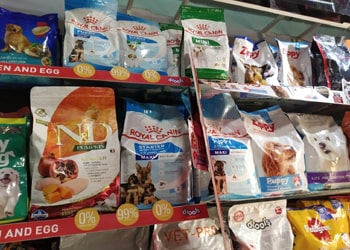 Welcome to Pets World Patna, your go-to destination for comprehensive pet care services and quality pet products. We offer a range of services, including pet care, grooming, and a variety of accessories. Explore our extensive collection of dog, cat, and rabbit breeds, along with a wide selection of pet accessories, food, treats, and healthcare products. Visit us at Rajendra Nagar Road, Kankarbagh, Patna - 800020, near Malahi Pakri Chowk. For inquiries, call us at +91 99347 41143. Your furry friend's well-being is our priority!