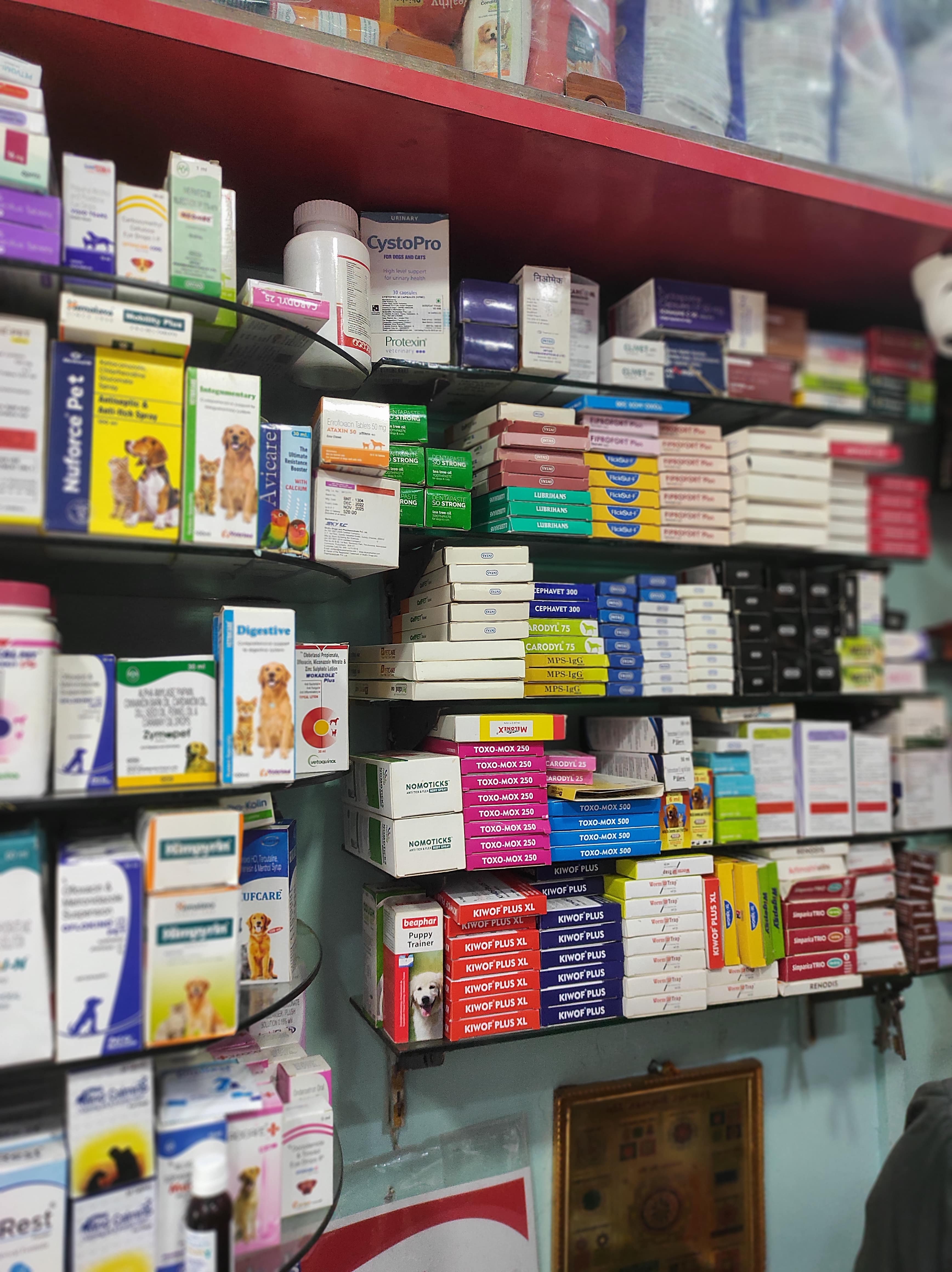 Welcome to Pets World Patna, your go-to destination for comprehensive pet care services and quality pet products. We offer a range of services, including pet care, grooming, and a variety of accessories. Explore our extensive collection of dog, cat, and rabbit breeds, along with a wide selection of pet accessories, food, treats, and healthcare products. Visit us at Rajendra Nagar Road, Kankarbagh, Patna - 800020, near Malahi Pakri Chowk. For inquiries, call us at +91 99347 41143. Your furry friend's well-being is our priority!