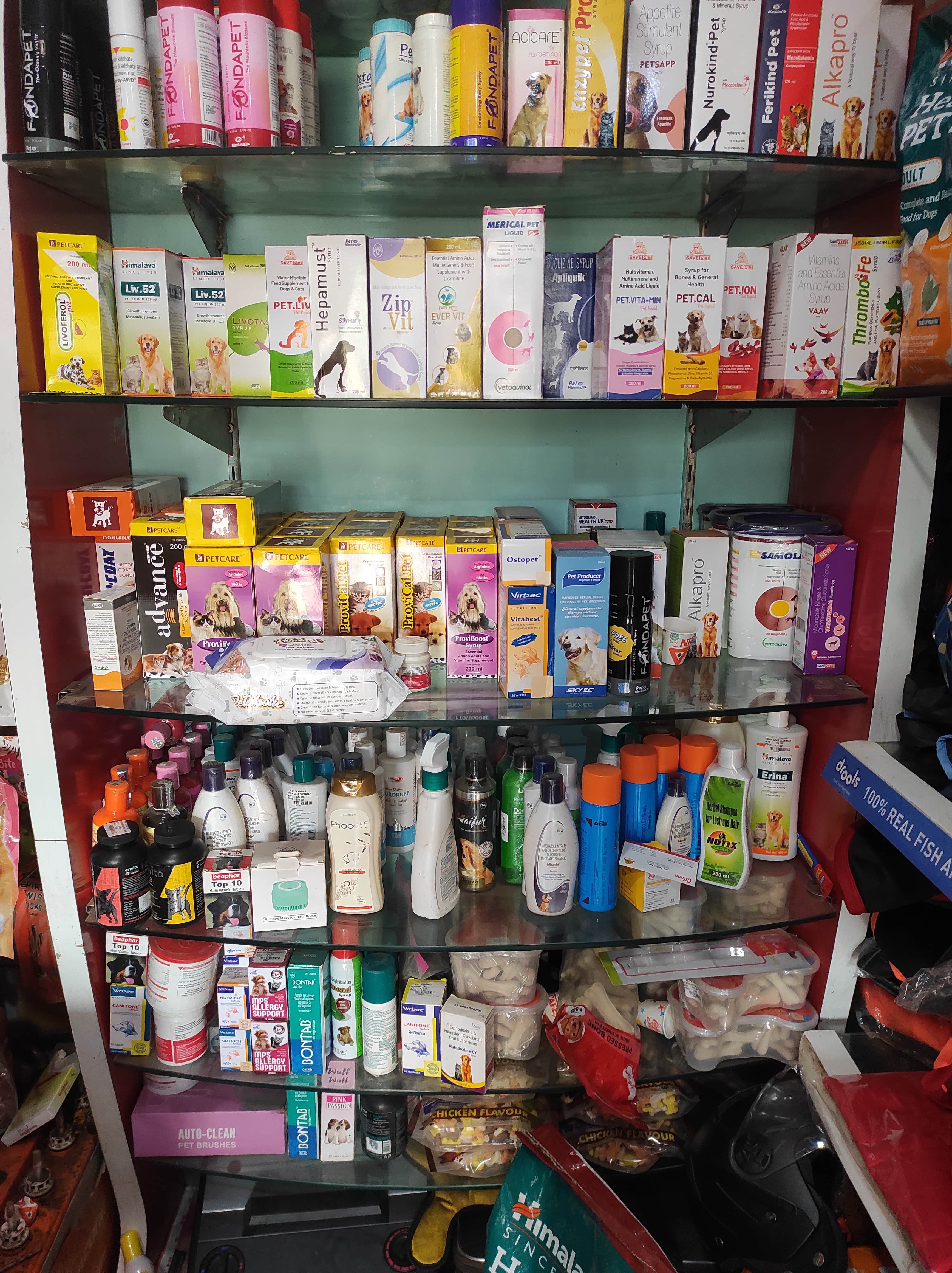 Welcome to Pets World Patna, your go-to destination for comprehensive pet care services and quality pet products. We offer a range of services, including pet care, grooming, and a variety of accessories. Explore our extensive collection of dog, cat, and rabbit breeds, along with a wide selection of pet accessories, food, treats, and healthcare products. Visit us at Rajendra Nagar Road, Kankarbagh, Patna - 800020, near Malahi Pakri Chowk. For inquiries, call us at +91 99347 41143. Your furry friend's well-being is our priority!