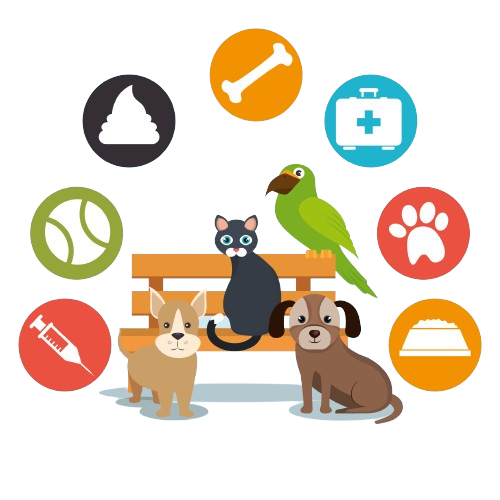 Welcome to Pets World Patna, your go-to destination for comprehensive pet care services and quality pet products. We offer a range of services, including pet care, grooming, and a variety of accessories. Explore our extensive collection of dog, cat, and rabbit breeds, along with a wide selection of pet accessories, food, treats, and healthcare products. Visit us at Rajendra Nagar Road, Kankarbagh, Patna - 800020, near Malahi Pakri Chowk. For inquiries, call us at +91 99347 41143. Your furry friend's well-being is our priority!